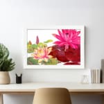 Vintage floral wall art featuring pink, red, and yellow lotus flowers with green leaves on a white background, framed in white. display on the wall