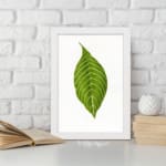 Infidu vintage wall art featuring a single bold green leaf with white veins on a white background displayed on the wall in a white frame