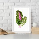 Infidu vintage wall art featuring two intricately detailed green plant leaves, one with a deep pink center, set against a clean white background. displayed on the wall art in a white frame