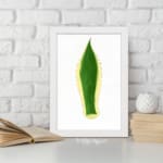 Minimalist green leaf design with yellow outline and dotted edges on white background, framed in black, vintage wall art. displayed on the wall in a white frame