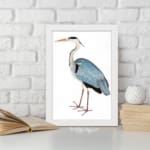 Vintage wall art of a graceful heron with blue and grey feathers on a white background, in a clean and minimalist style. displayed on the wall in a white frame