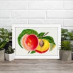 Infidu vintage wall art featuring a classic fruit illustration of a peach, showcasing a whole fruit and a sliced half with a seed, set against a white background with vibrant red, orange, and yellow hues. displayed on the wall art in a white frame
