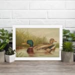 Vintage wall art of a peaceful duck pond scene with two ducks swimming, tall grass in the background, and soft earthy tones for a classic look. displayed on the wall