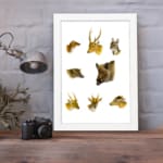 Vintage wall art showing detailed illustrations of deer, wild boar, and forest animals on a white background in natural earthy tones. displayed on the wall in a white frame
