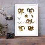Vintage wall art with detailed ram illustrations in brown, beige, and black, set against a white background, resembling antique natural history prints. displayed on the wall