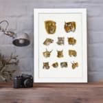 Vintage wild cat illustration featuring lions, tigers, lynxes, and more in a detailed, scientific style on a plain white background. displayed on the wall in a white frame