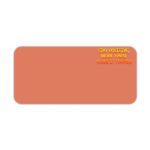 Infidu terracotta desk pad with bold motivational quote in yellow and red on warm orange background, minimalistic vintage art design.