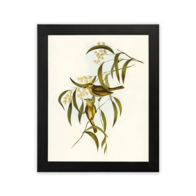Infidu Botanical Bird and Leaf Wall Art Framed Nature Decor - Botanical Art - bad02