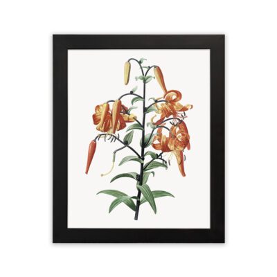 Infidu Botanical Wall Art Orange Floral Frame – Color Wall Decor - bad03