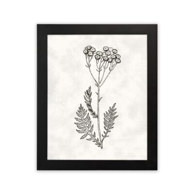 Infidu Botanical Line Art Sketch Plant Frame - Minimal Wall Decor - Wall Art- bla17