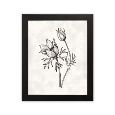 Infidu Botanical Line Art Sketch Flower Frame - Elegant Wall Decor- Wall Art- bla18